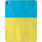 Ukraine Flag Distressed iPad Pro 13in M4 (2024) Skin